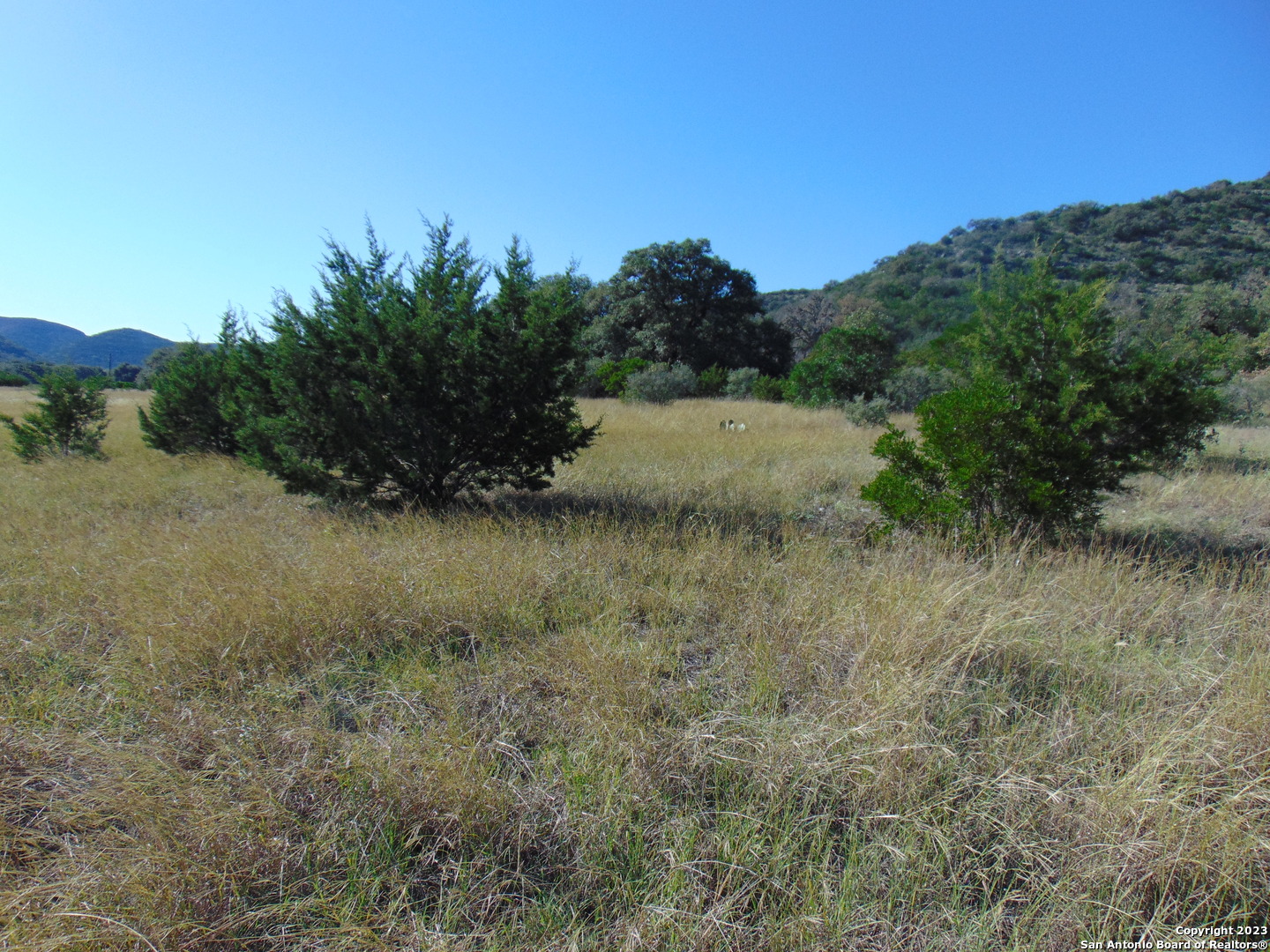0 John Buchanan Leakey TX 78873