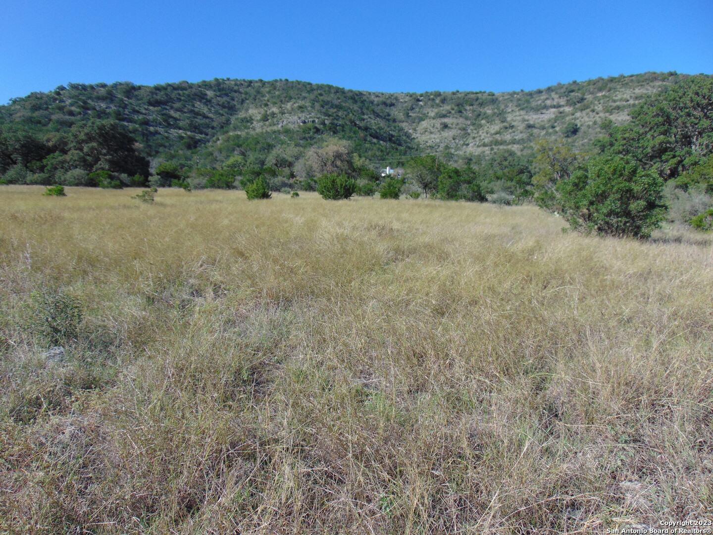 0 John Buchanan Leakey TX 78873