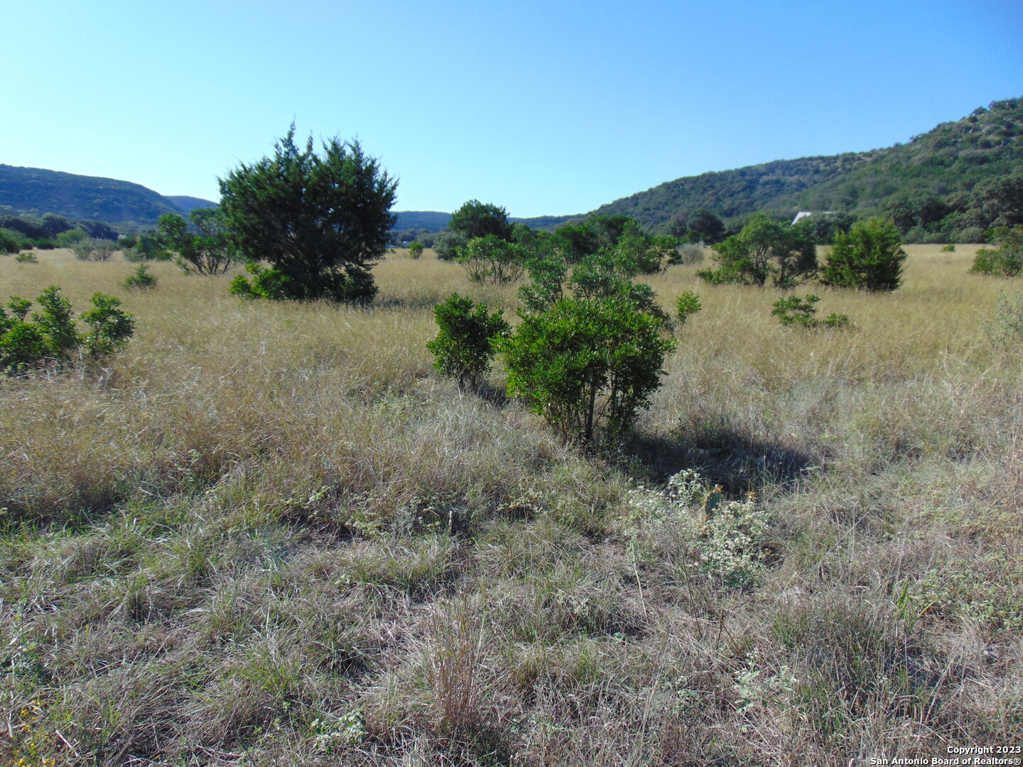 0 John Buchanan Leakey TX 78873