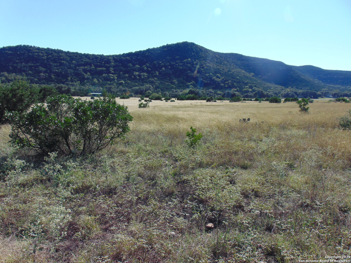0 John Buchanan Leakey TX 78873