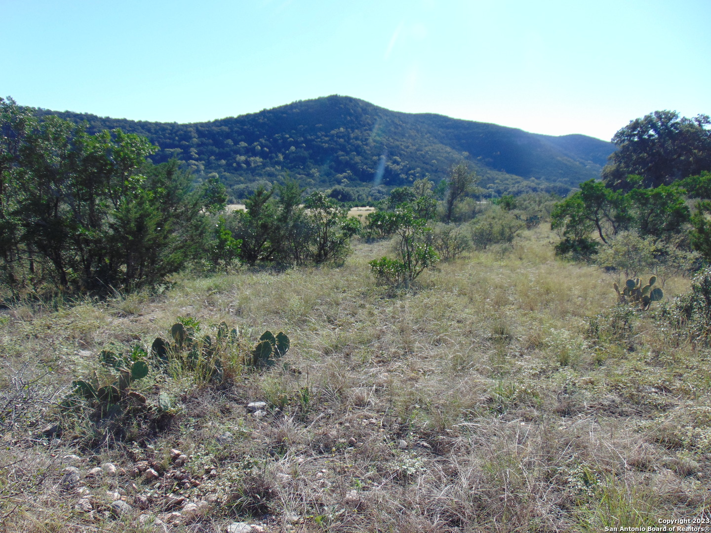 0 John Buchanan Leakey TX 78873