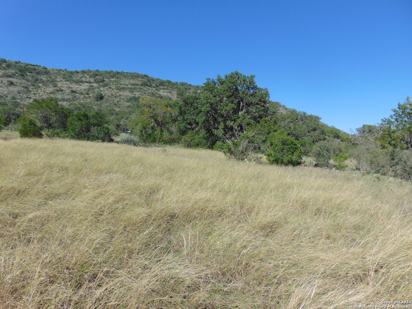 0 John Buchanan Leakey TX 78873