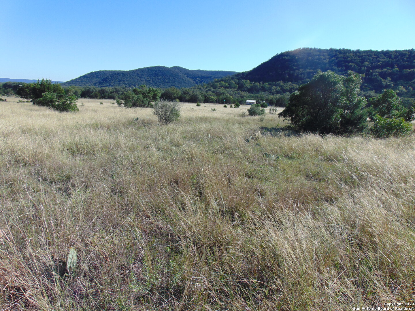 0 John Buchanan Leakey TX 78873