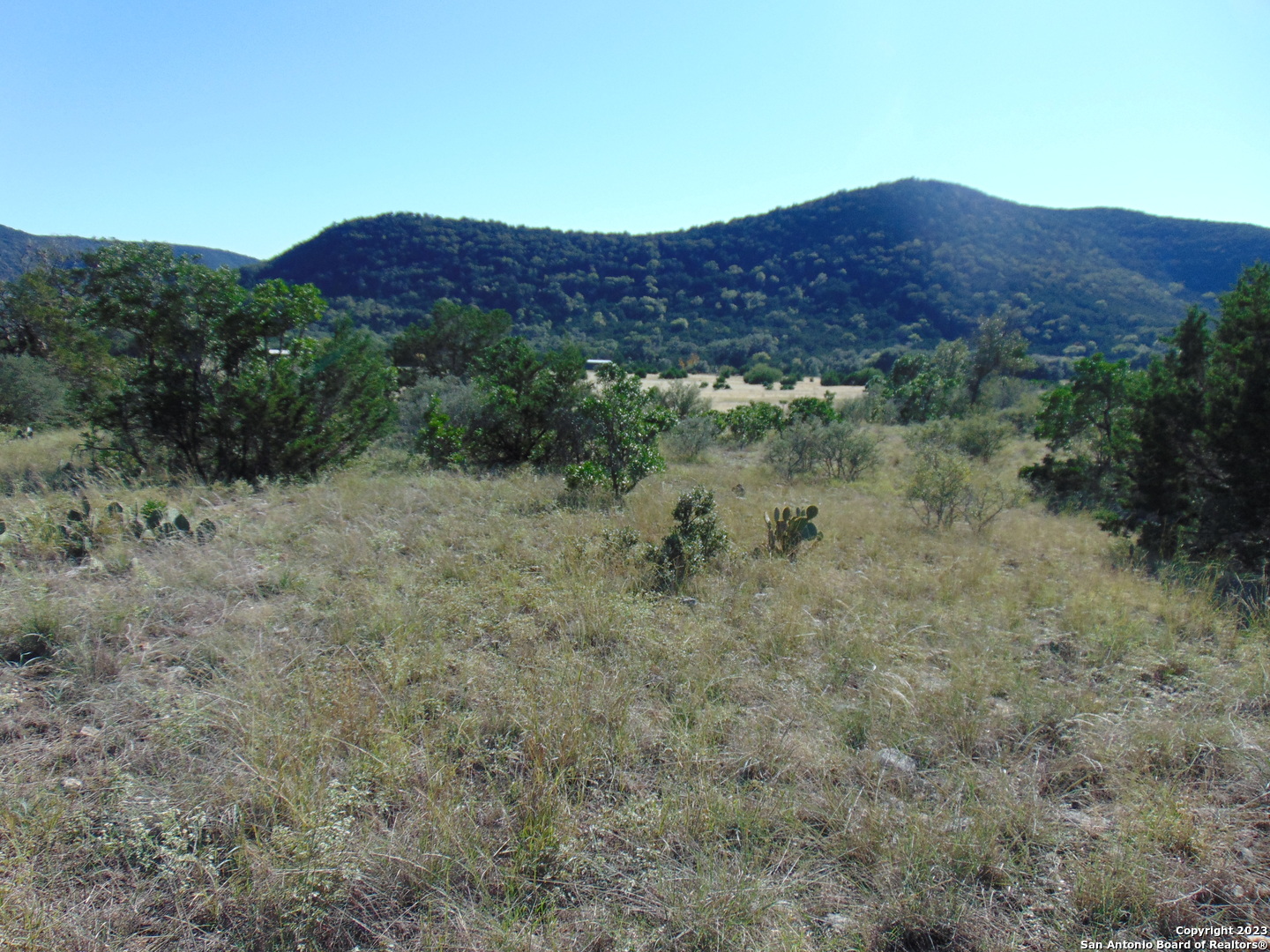 0 John Buchanan Leakey TX 78873