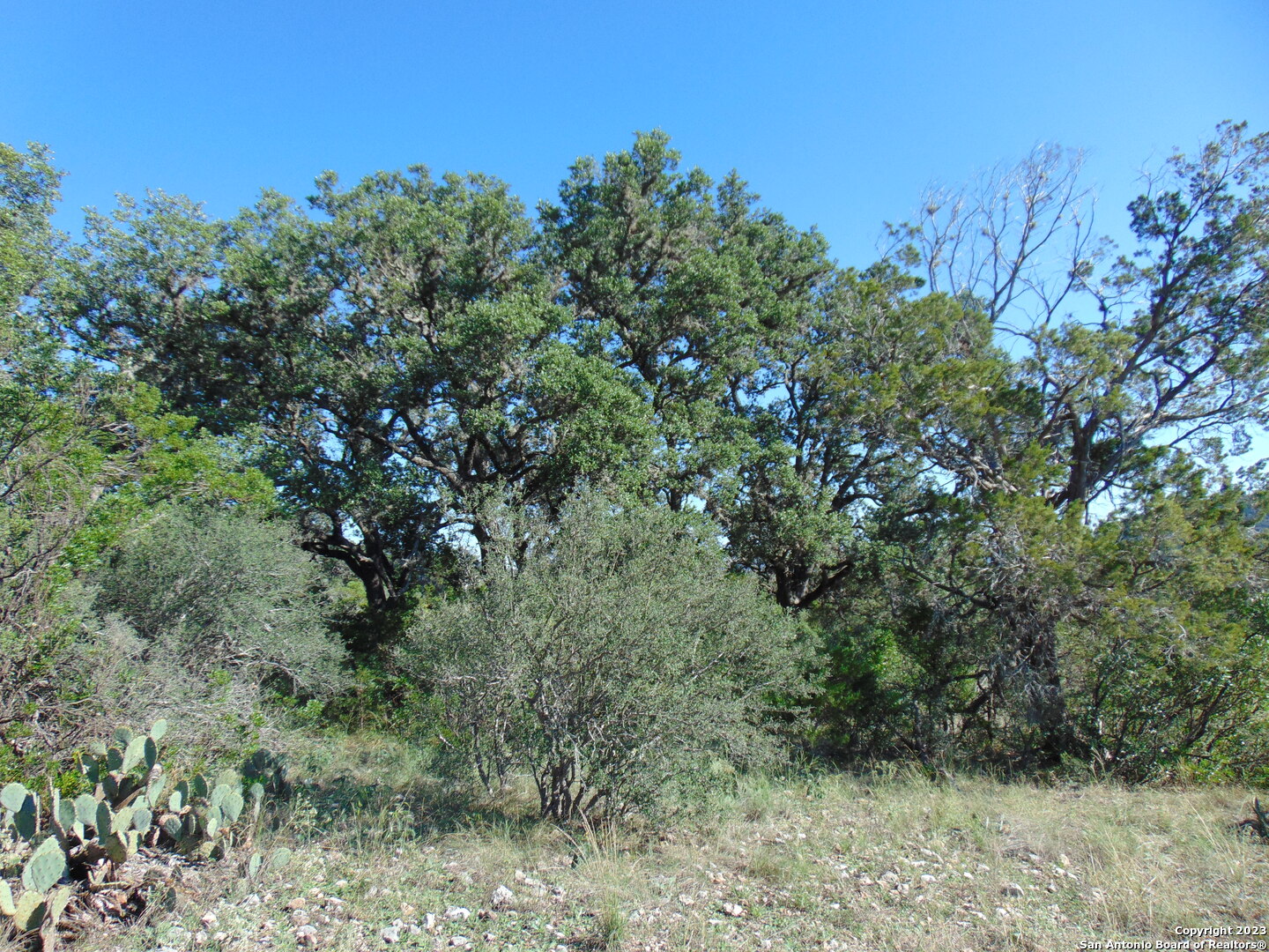 0 John Buchanan Leakey TX 78873
