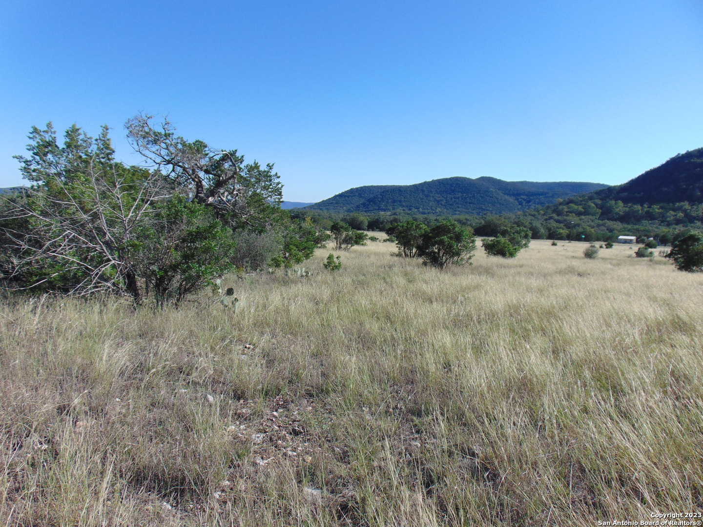 0 John Buchanan Leakey TX 78873