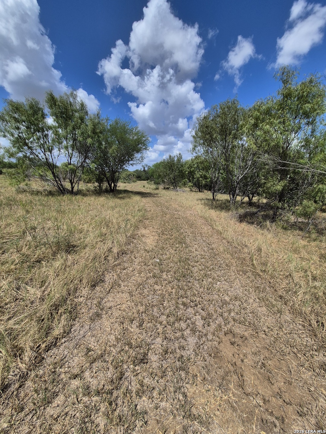 10947 Kosub Lane San Antonio TX 78223