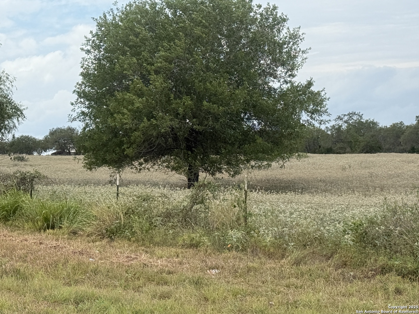 1404 Us Highway 87 W Stockdale TX 78160