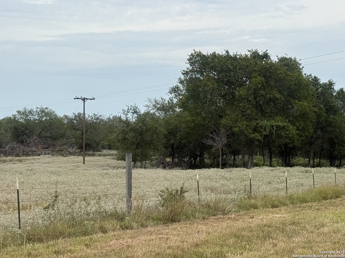 1404 Us Highway 87 W Stockdale TX 78160