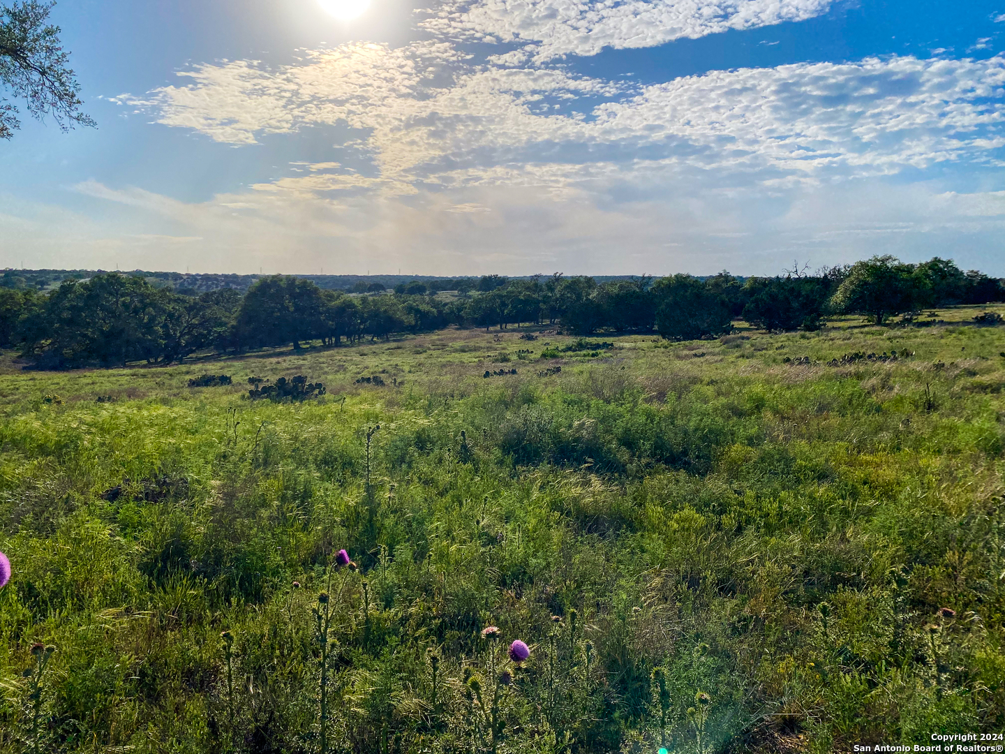 140 Cattlemans Crossing Kerrville TX 78028