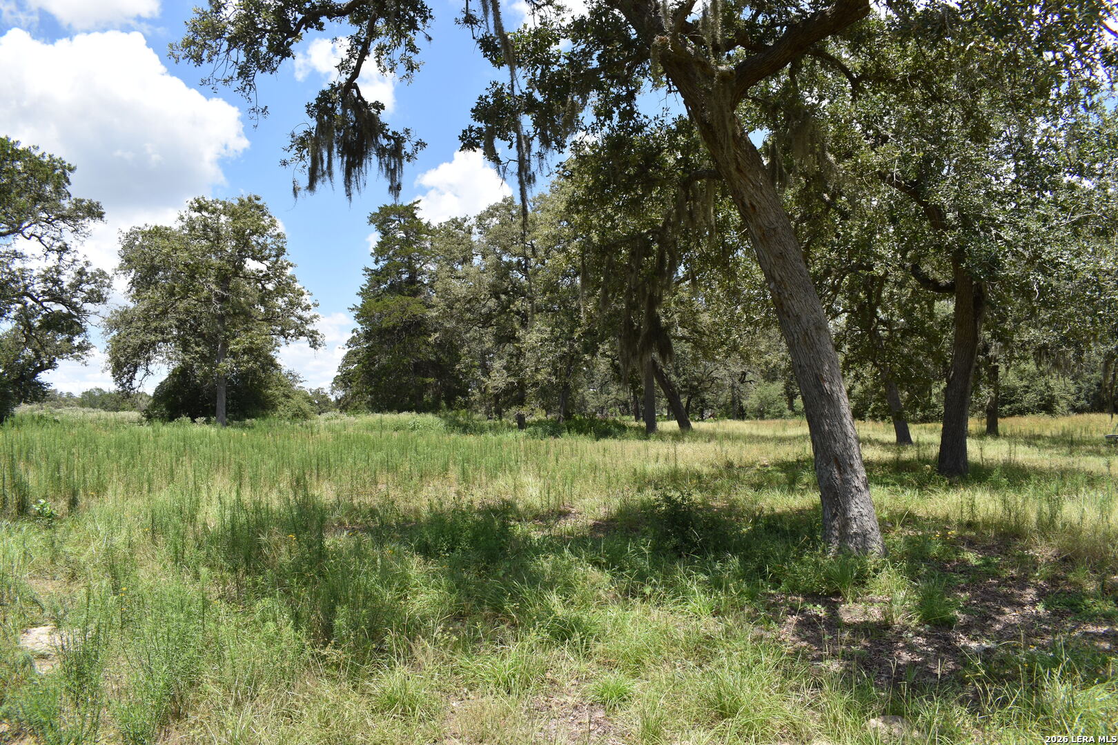 Tbd Cr 444 Yoakum TX 77995