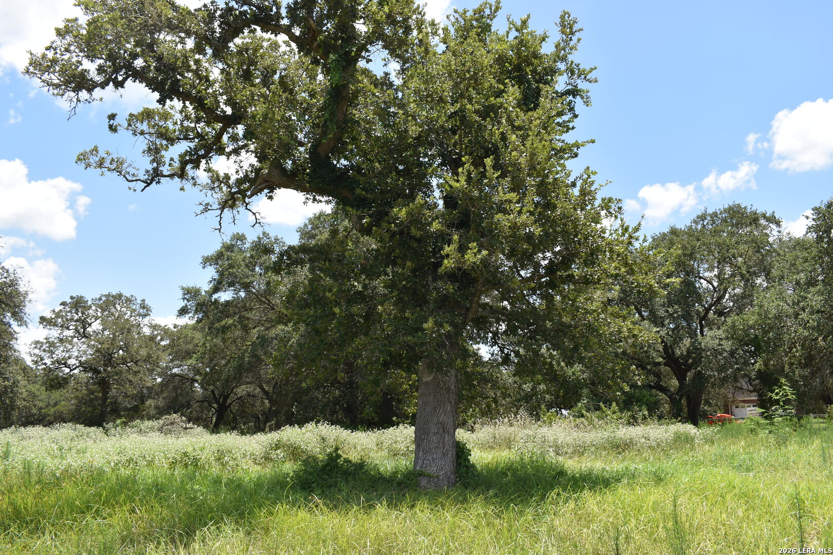 Tbd Cr 444 Yoakum TX 77995