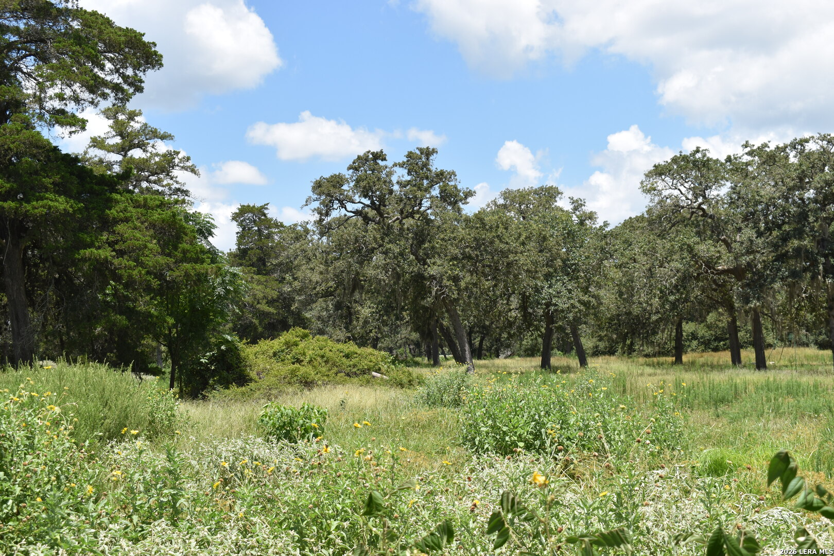 Tbd Cr 444 Yoakum TX 77995