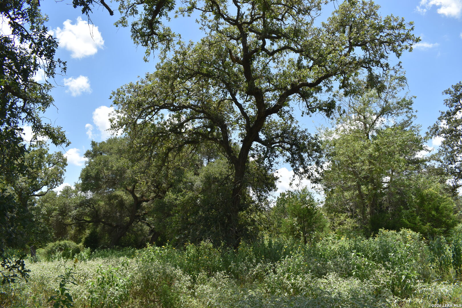 Tbd Cr 444 Yoakum TX 77995
