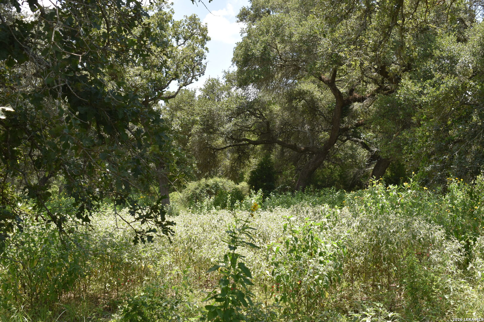 Tbd Cr 444 Yoakum TX 77995