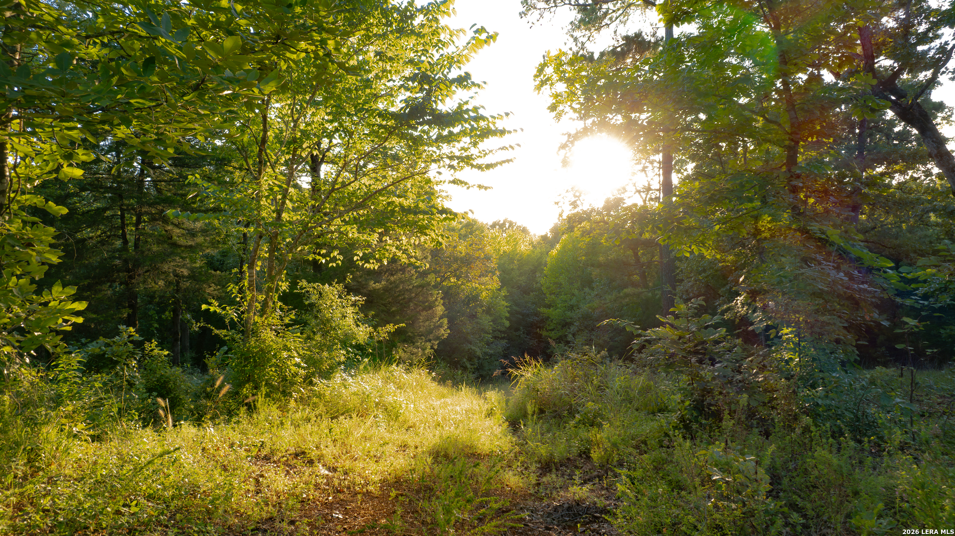 0 Private Road 5150 Palestine TX 75801