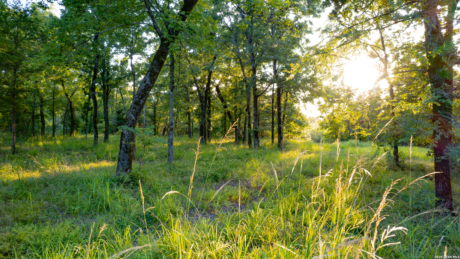 0 Private Road 5150 Palestine TX 75801