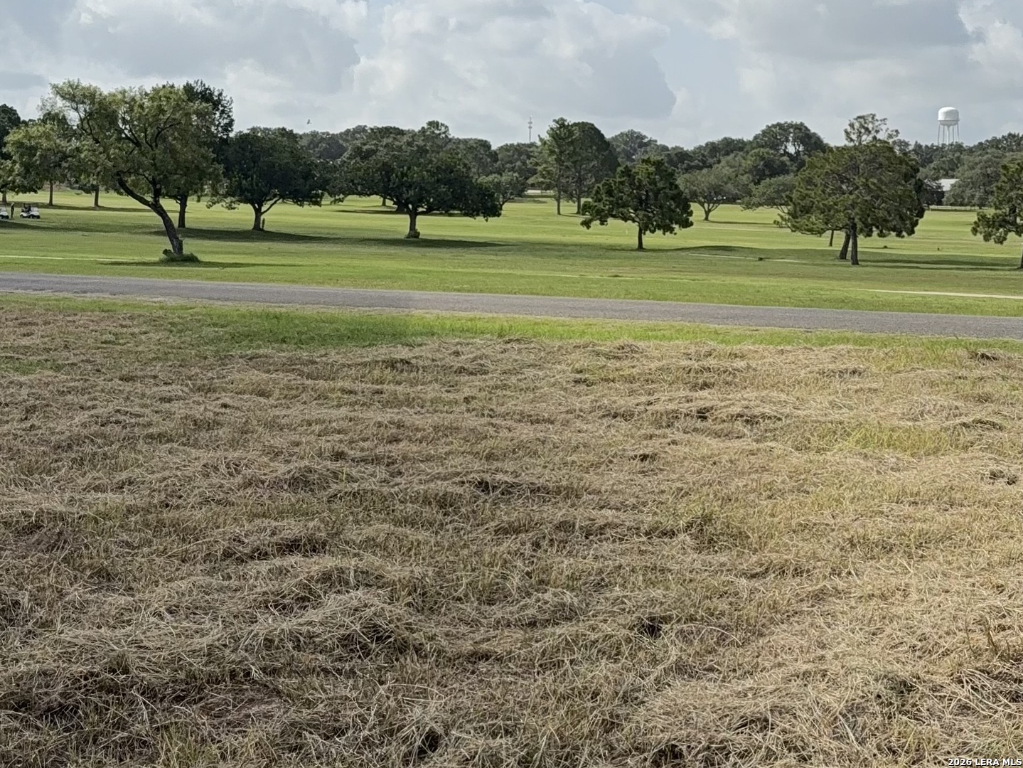 585 County Road 768 Devine TX 78016