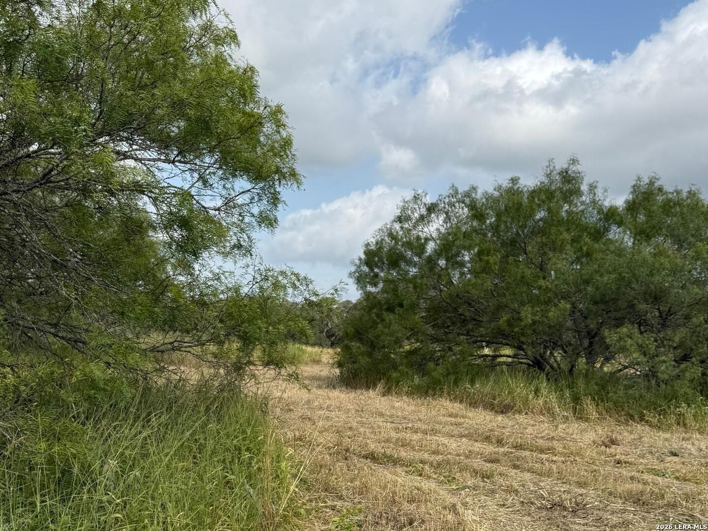 585 County Road 768 Devine TX 78016