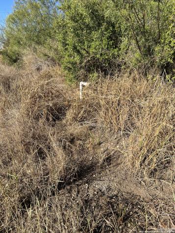 00 Mesquite And Mulberry Jourdanton TX 78026