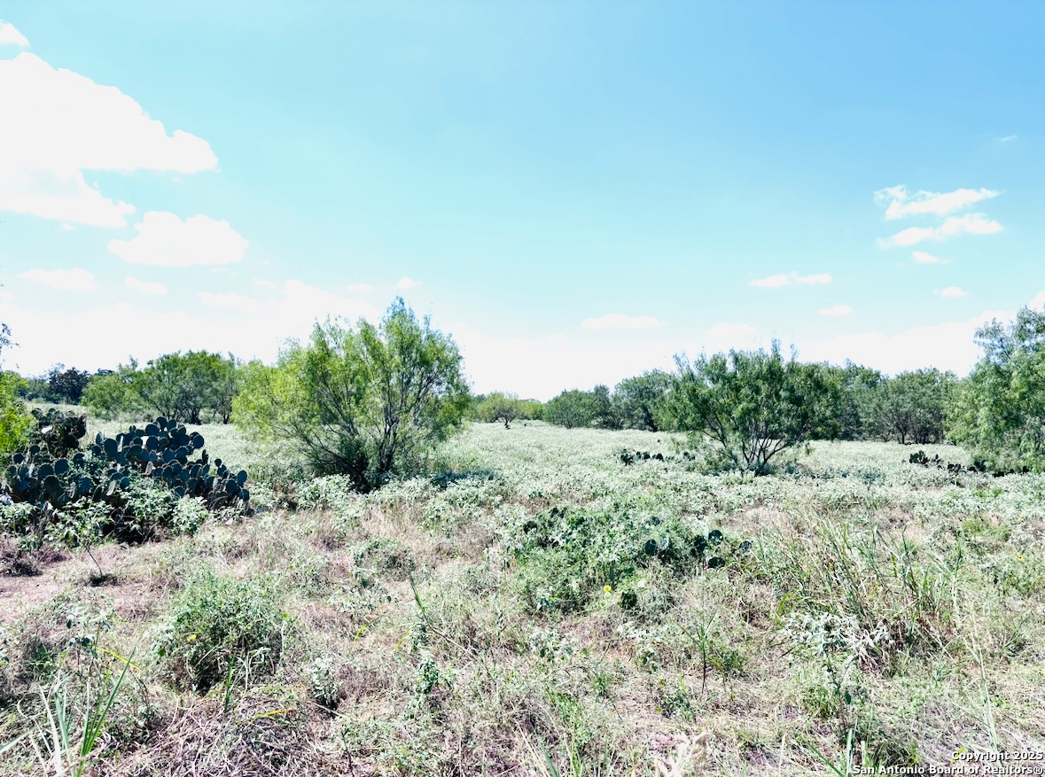 0 N State Highway 16 Jourdanton TX 78026