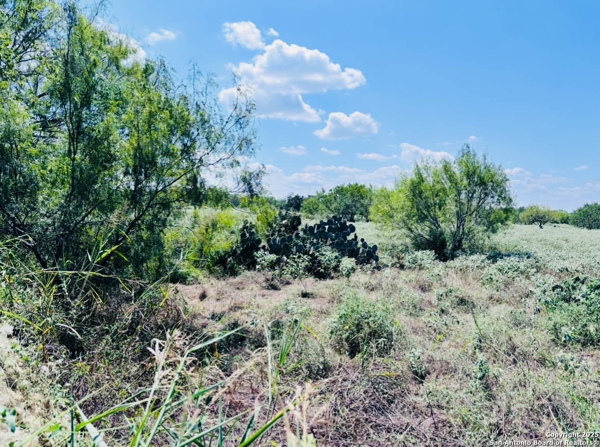 0 N State Highway 16 Jourdanton TX 78026