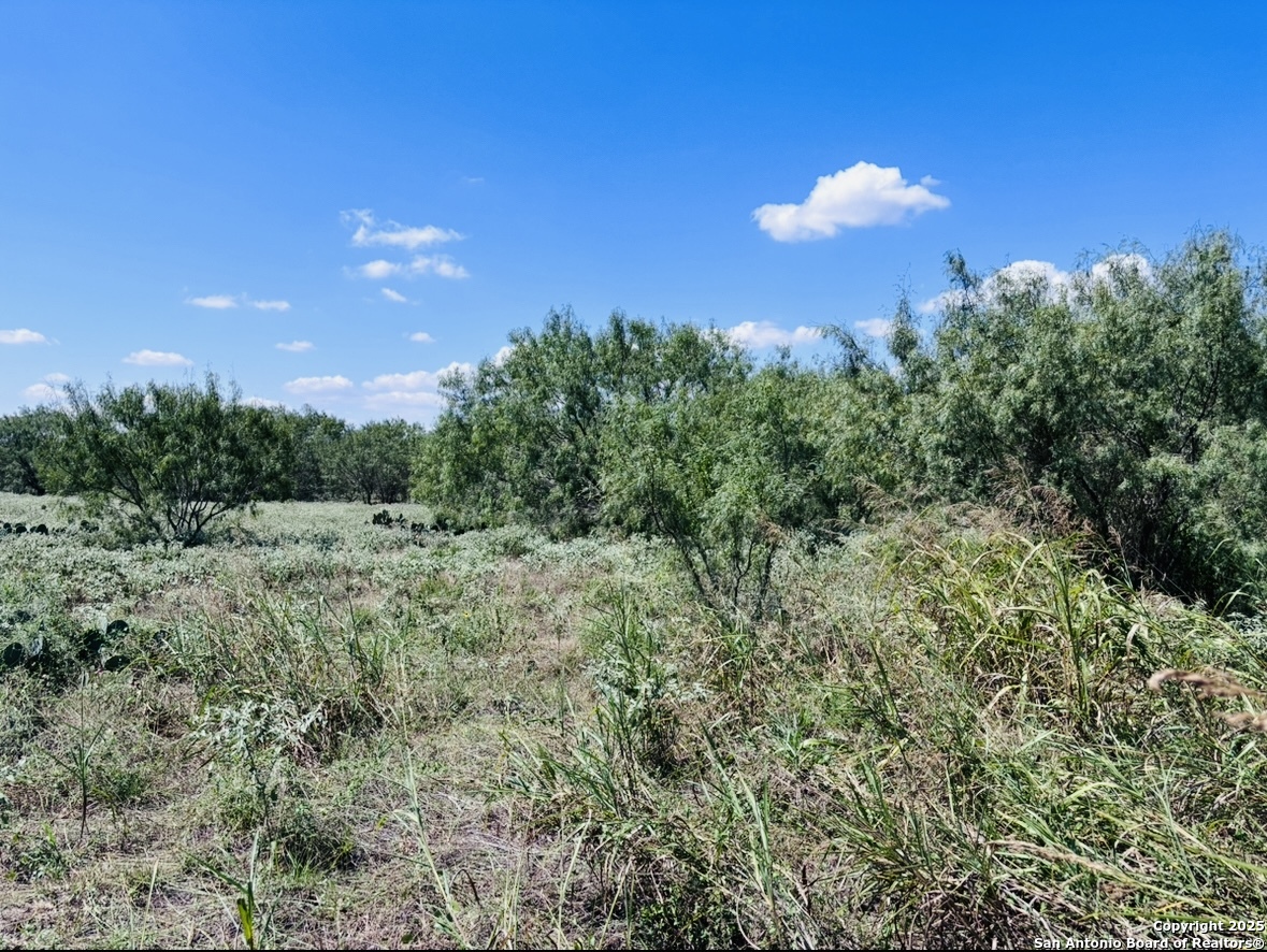 0 N State Highway 16 Jourdanton TX 78026