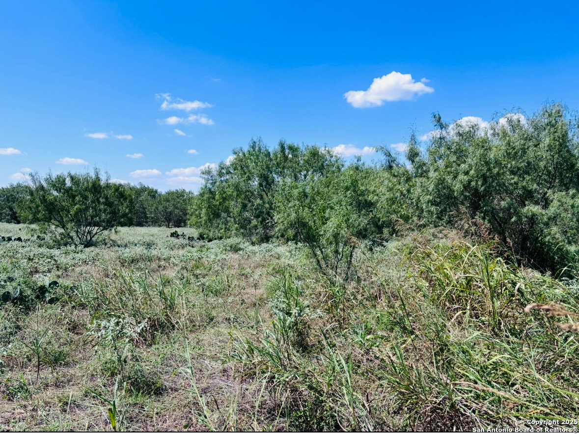 0 N State Highway 16 Jourdanton TX 78026