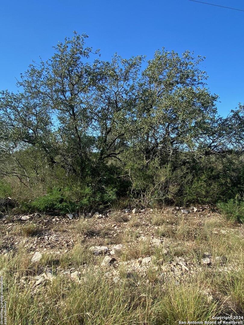 24 Friendship Hills Circle Uvalde TX 78801