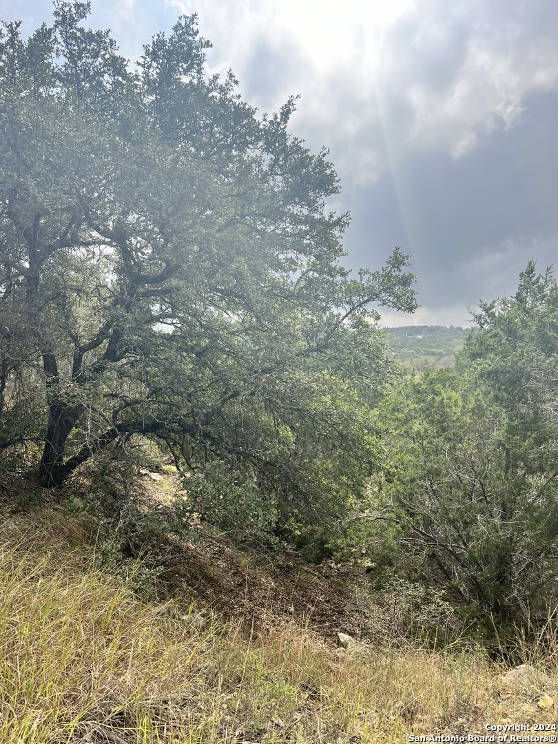 1182 Mystic Shores Boulevard Spring Branch TX 78070