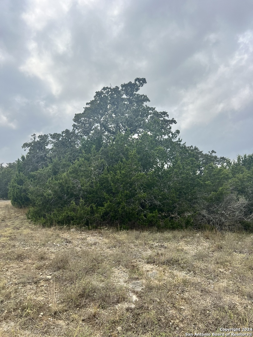 1182 Mystic Shores Boulevard Spring Branch TX 78070