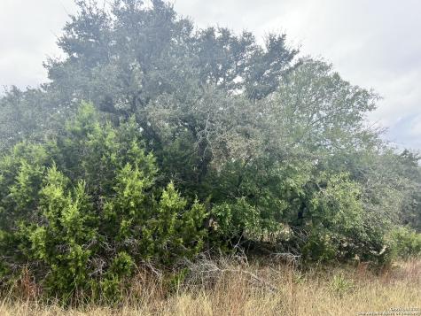 1182 Mystic Shores Boulevard Spring Branch TX 78070