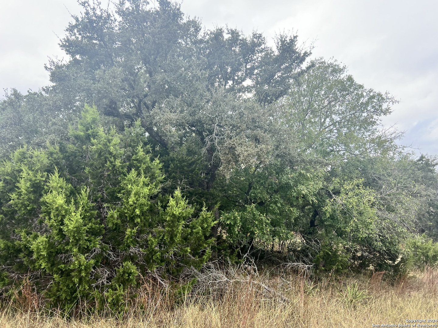 1182 Mystic Shores Boulevard Spring Branch TX 78070