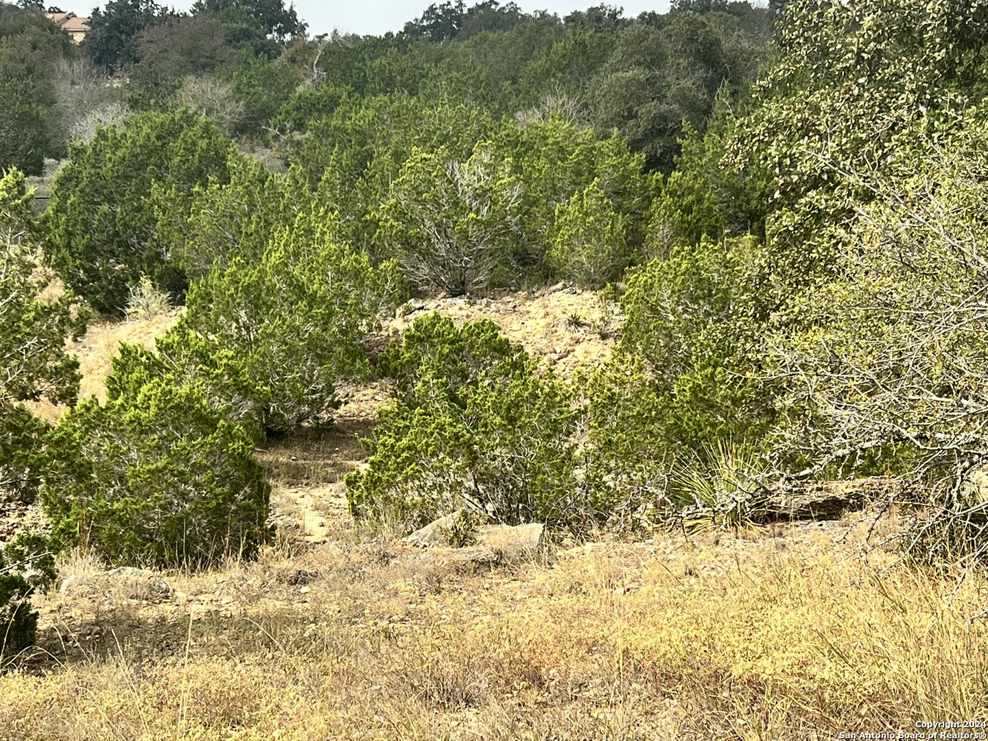 1182 Mystic Shores Boulevard Spring Branch TX 78070