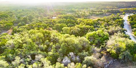 184 Peyton Colony Blanco TX 78606