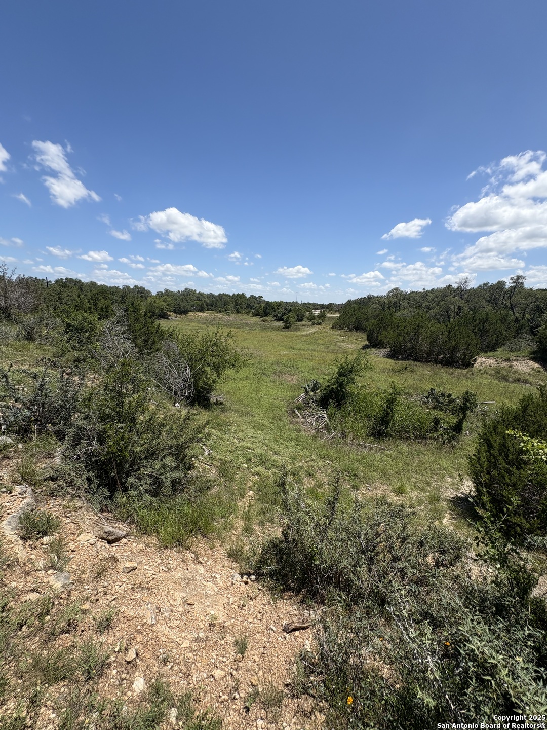 184 Peyton Colony Blanco TX 78606