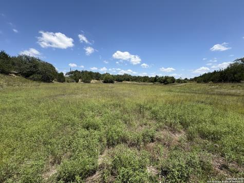 184 Peyton Colony Blanco TX 78606