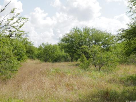 Tbd Lot 5 Cr 208 Hobson TX 78117