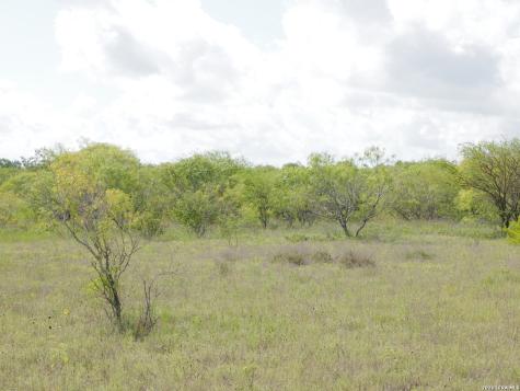 Tbd Lot 5 Cr 208 Hobson TX 78117