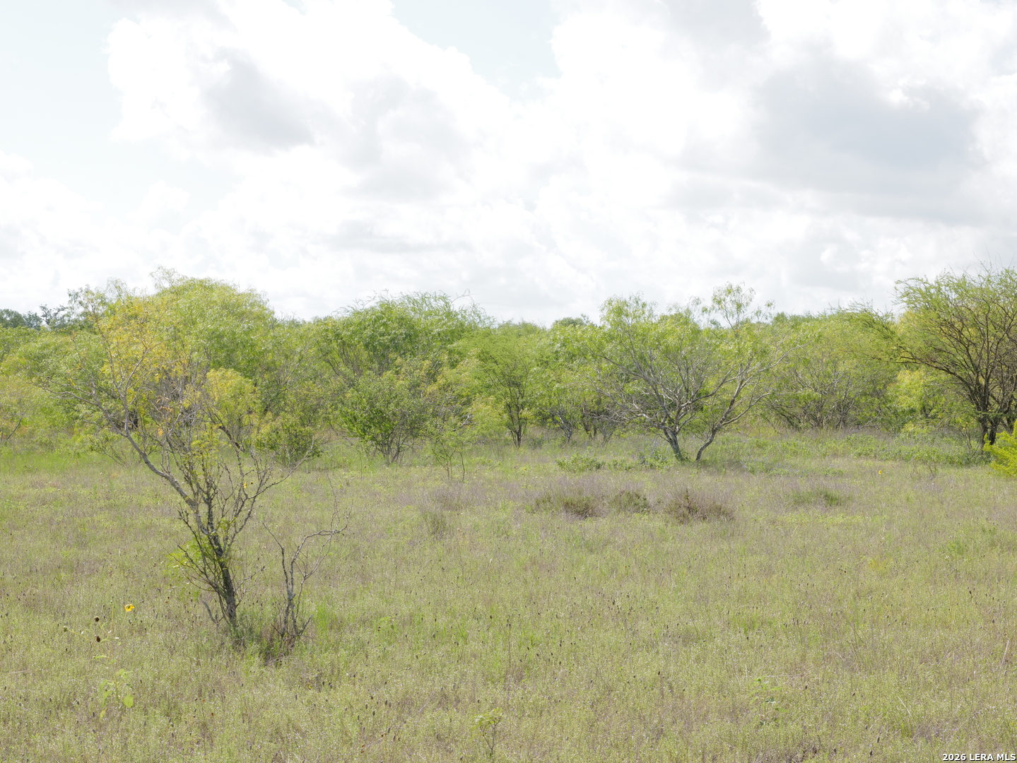 Tbd Lot 5 Cr 208 Hobson TX 78117