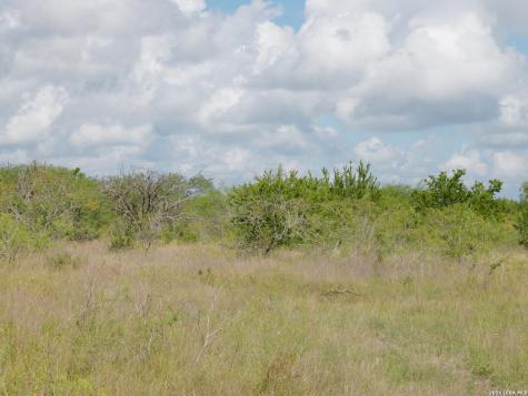 Tbd Lot 5 Cr 208 Hobson TX 78117
