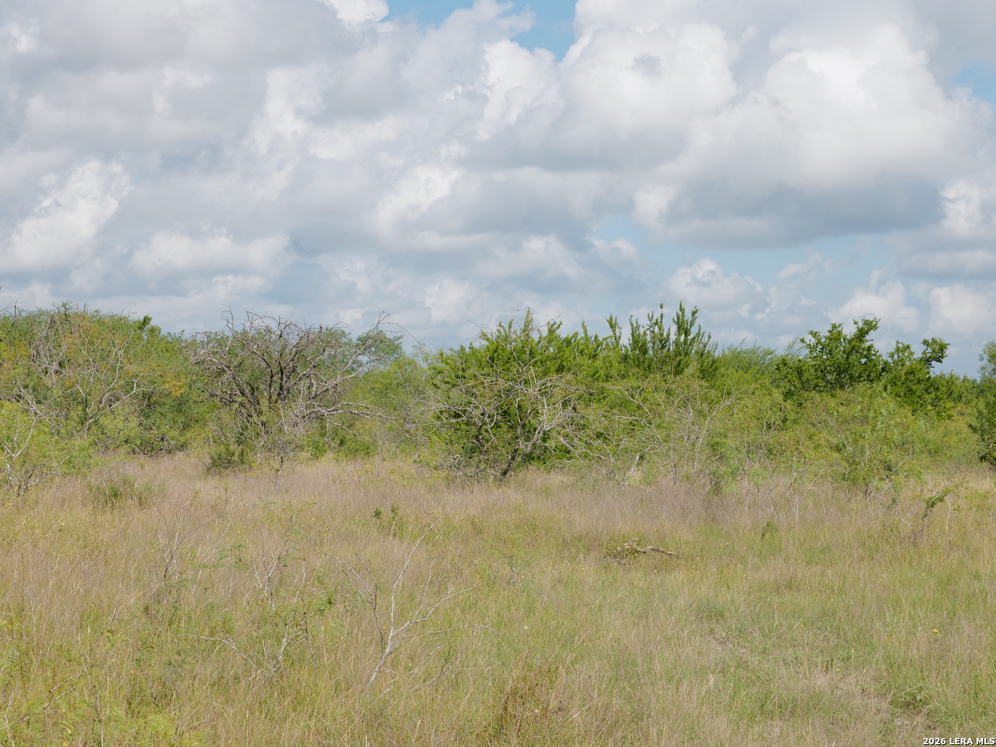 Tbd Lot 5 Cr 208 Hobson TX 78117