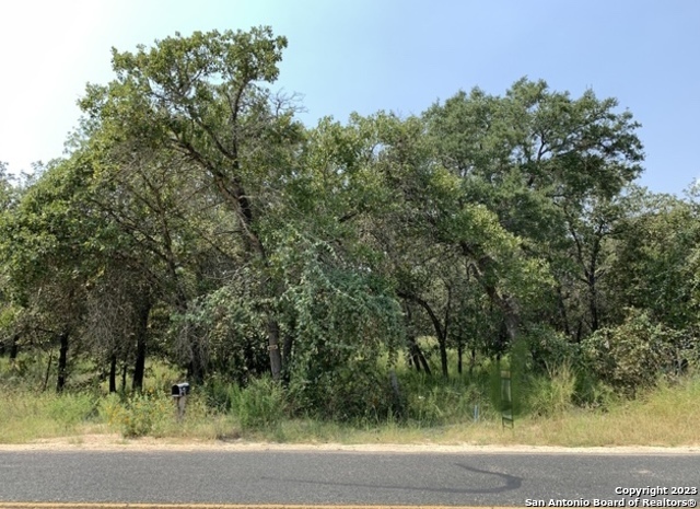 23951 Trumbo Road San Antonio TX 78264