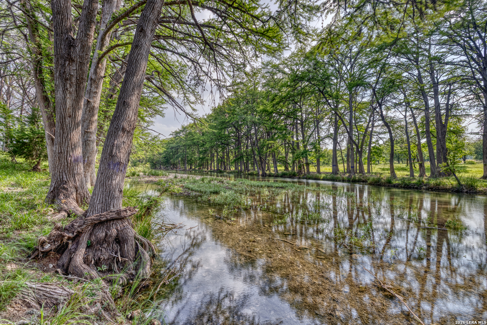 3154 Little Dry Frio Road Rio Frio TX 78879