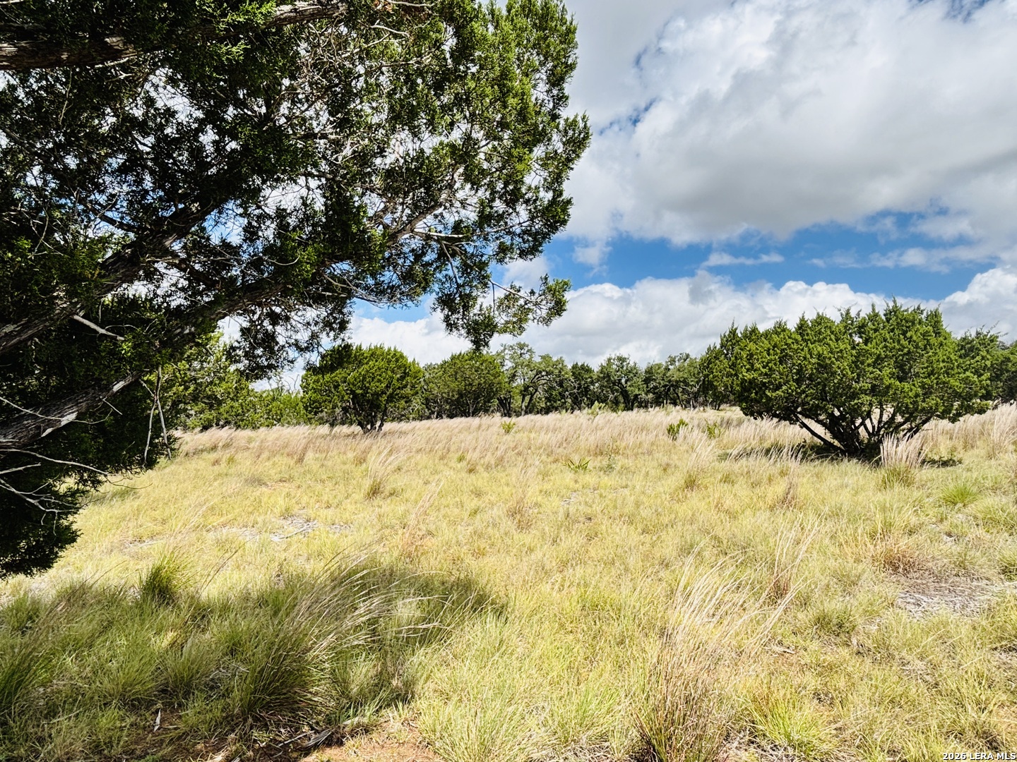 00 Cool Creek Drive E. Center Point TX 78010
