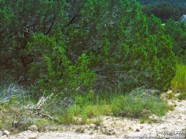 00 Ken Wayne Spring Branch TX 78070