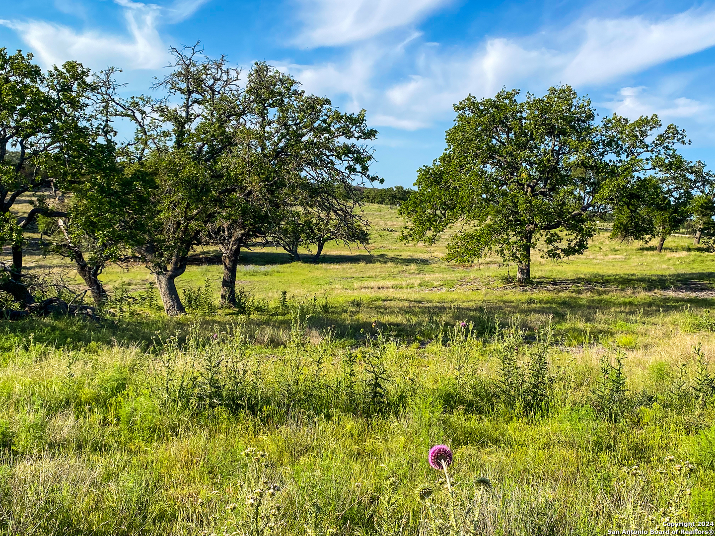 139 Cattlemans Crossing Kerrville TX 78028