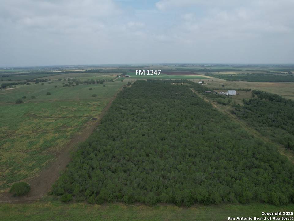 Tract 4 Fm 1347 Stockdale TX 78160