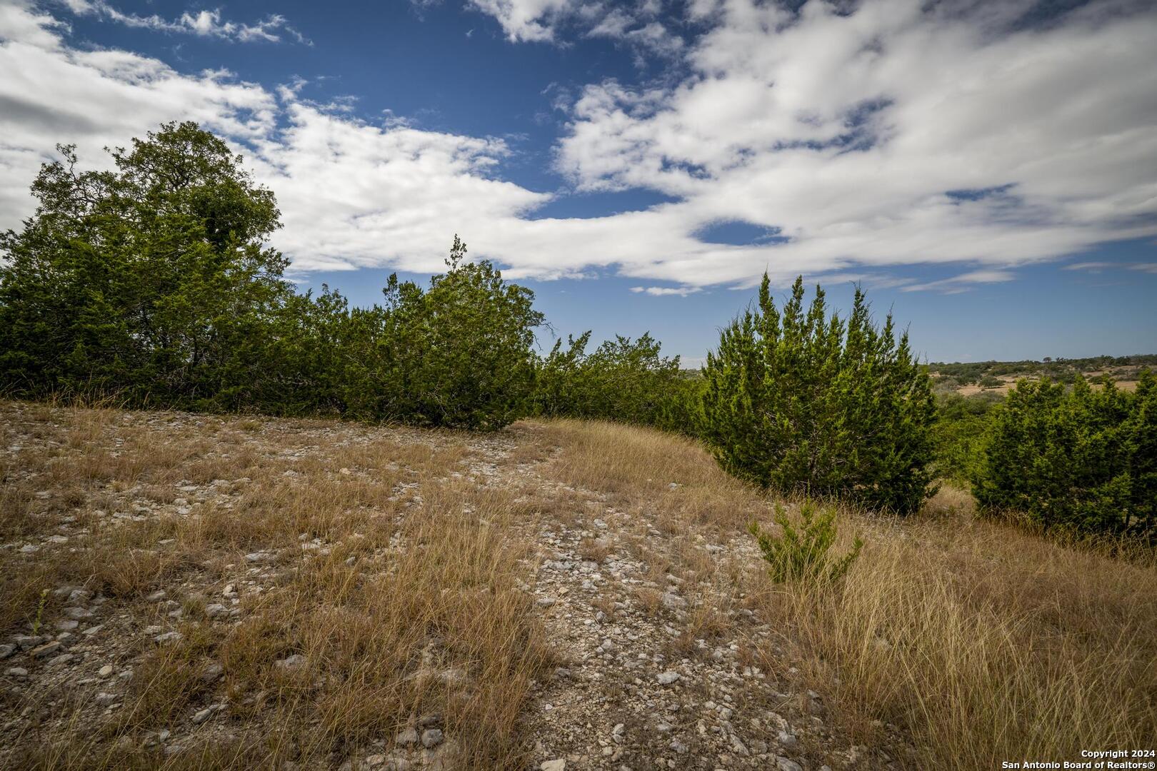 30 Buckskin Path Fredericksburg TX 78624