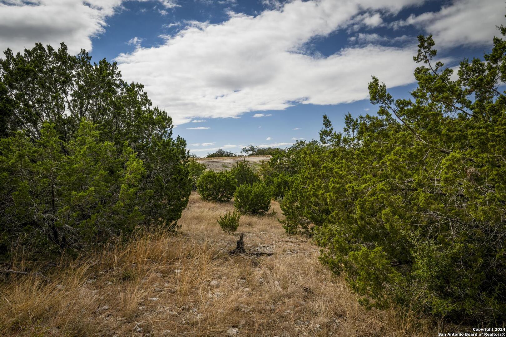 30 Buckskin Path Fredericksburg TX 78624